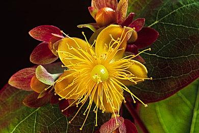 《夺宝奇兵：古老之圈》XSX安装容量131.69GB