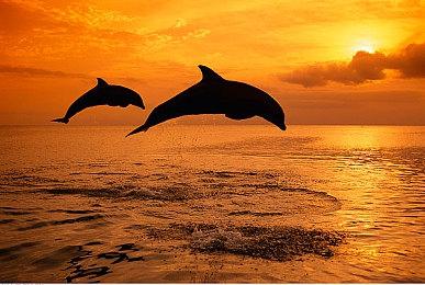 《永劫无间》年度发布会：与李小龙、仙剑、轩辕剑联动