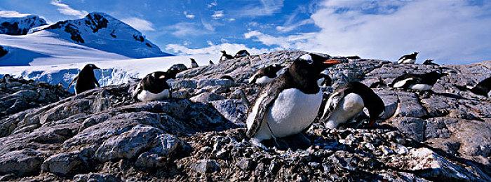 VR城市建造游戏新作《小小城市》公布 首支预告片赏