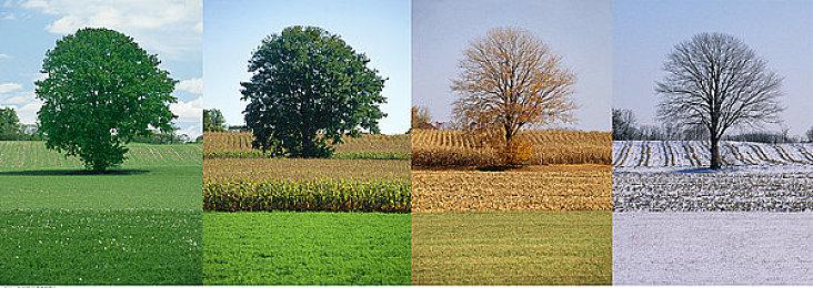 《酷极轮滑》11月28日登陆XSX 获特别好评